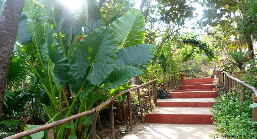 Secret Garden Resort Patnem Beach Exterior photo